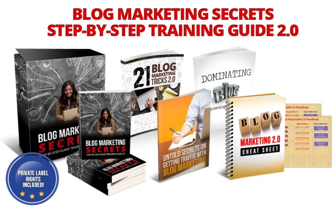 Blog Marketing Secrets Step-by-Step Guide 2.0 
